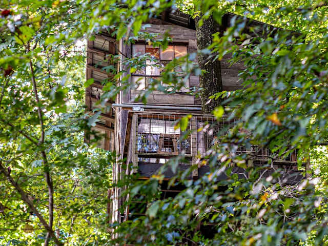 Luna Loft Treehouse 