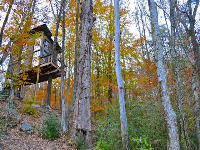 Luna Loft Treehouse 