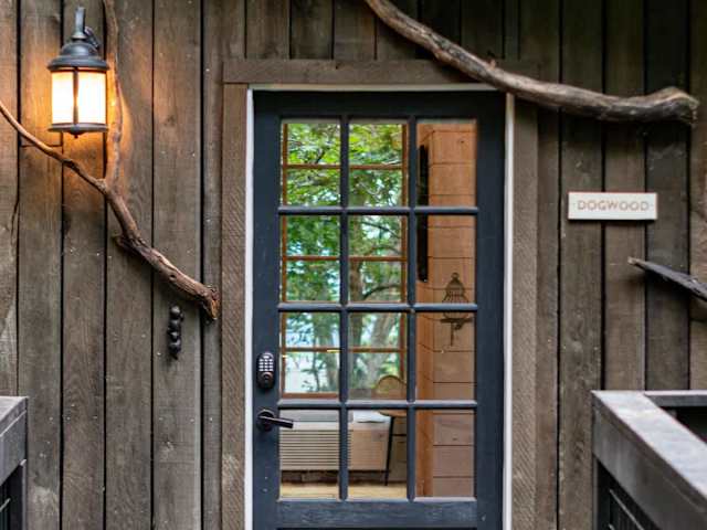 Front door to your treehouse.