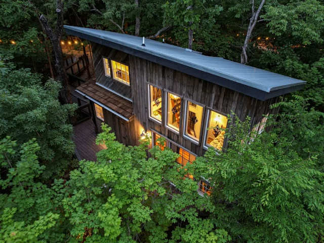 Aerial view of the treehouse