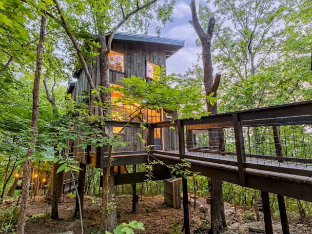 Welcome to the Dogwood Treehouse!