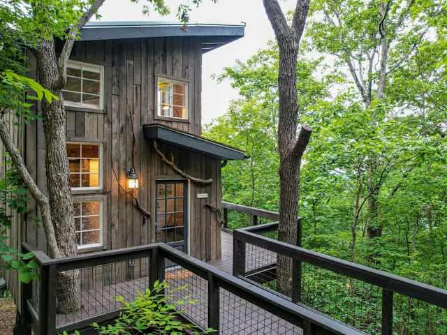 Welcome to Dogwood Treehouse!
