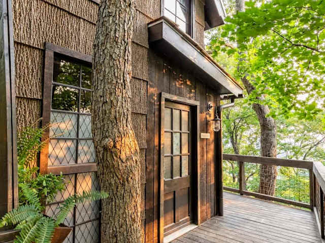 The large wrap around deck is constructed around many trees