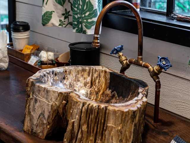 Petrified wood sink on the kitchenette counter