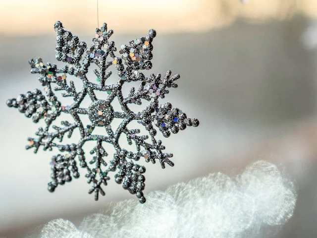 Luxury Twin Falls Dome 