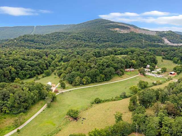 The Lavender Loft Cabin