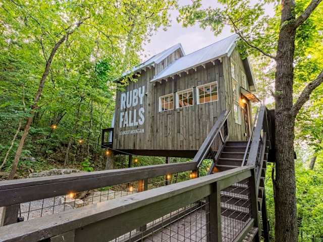 Welcome to Redbud Treehouse!