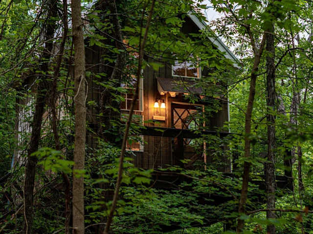 Welcome to Redbud Treehouse