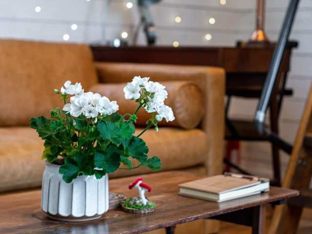 The living room has a comfortable sofa bed and desk space