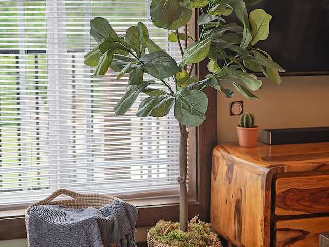 Pool House Group Rental