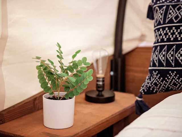 Covered Pioneer Wagon Group Rental