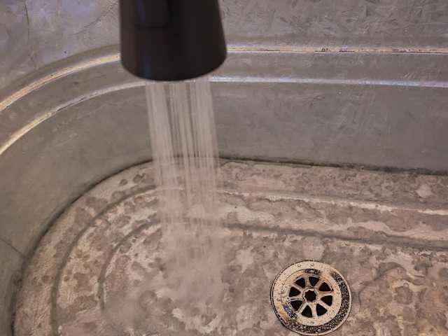 Covered Pioneer Wagon Group Rental