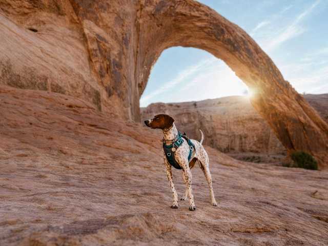 Inn of Escalante - King Room