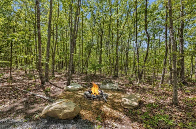 Wild Indigo Haus
