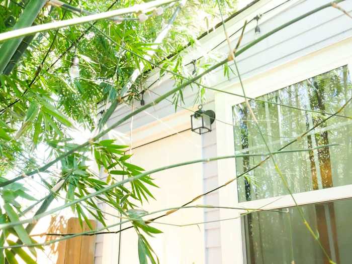 Newly Renovated Studio, Pet-Friendly, Steps to