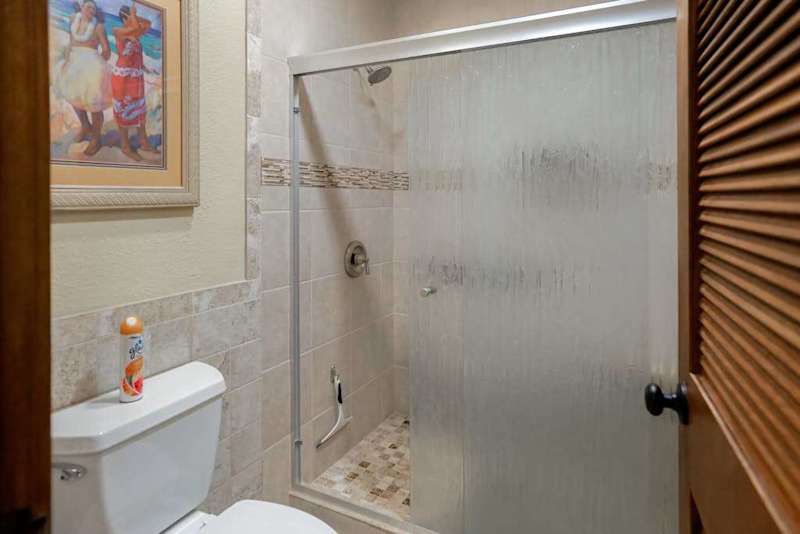 Walk In Shower With Modern Finishes