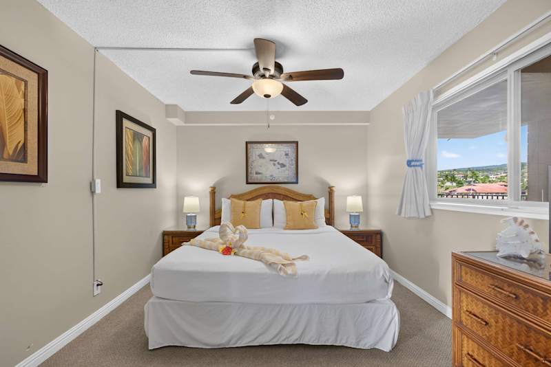 King Suite Bedroom (3 of 5)