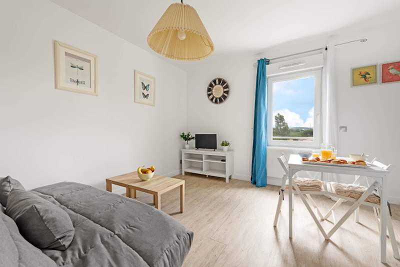 Studio lumineux avec vue sur la Cite de Carcassonne : Carcassonne