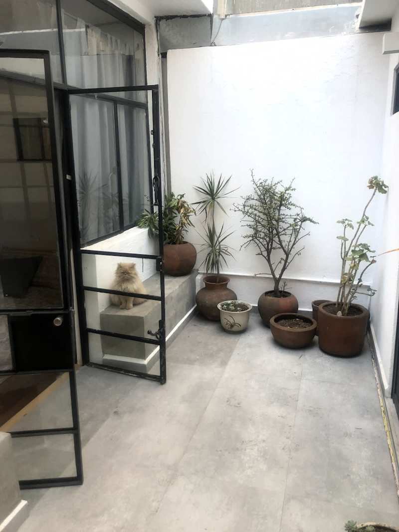Patio privado 