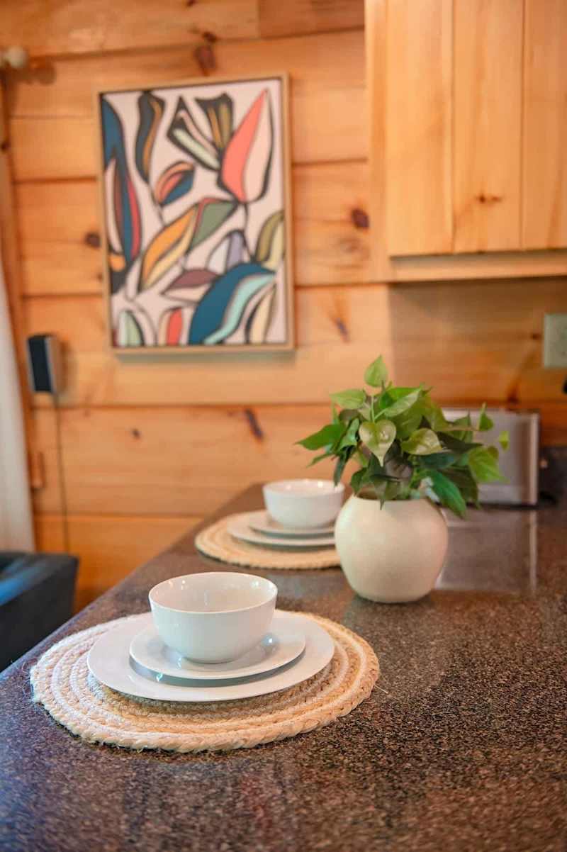 Elise Cabin photo 7