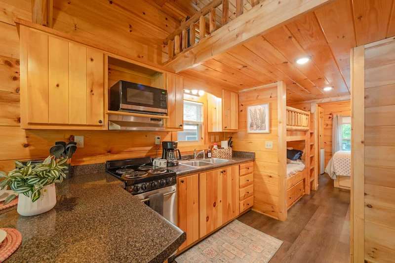 Ani Cabin photo 4