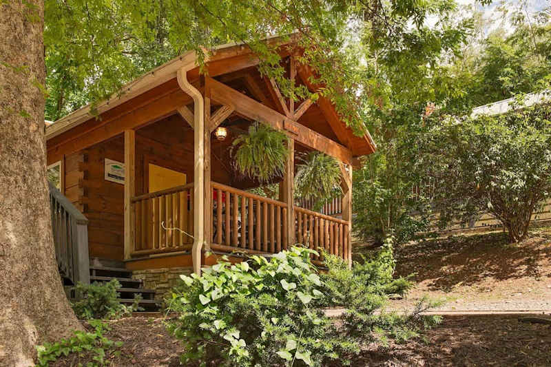 Ani Cabin photo 2