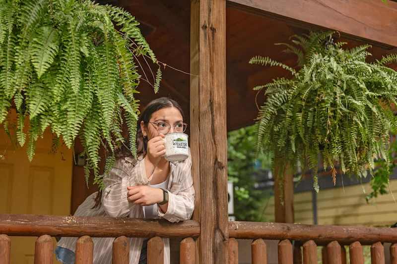 Ani Cabin photo 19