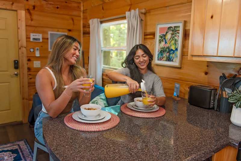 Ani Cabin photo 5