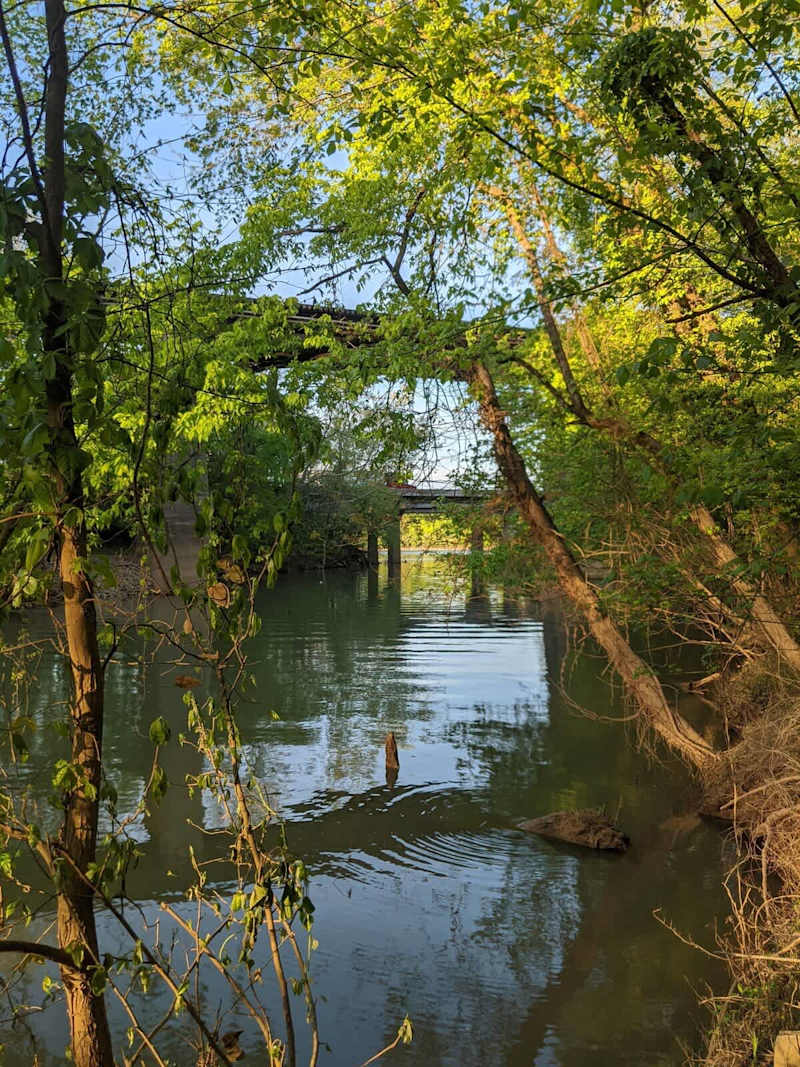 Lookout Creek runs the length of the Wauhatchie Woodlands property.