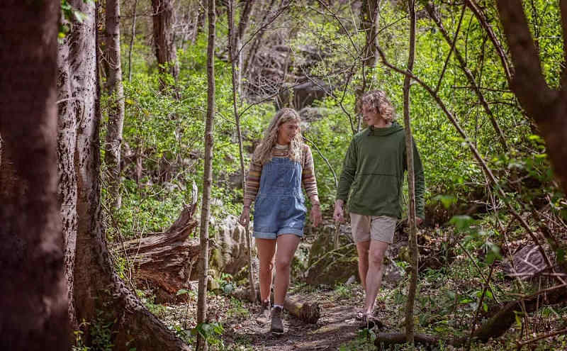 Sophie’s Spur Trail. There are several beautiful trails that begin on Wauhatchie Woodlands property.