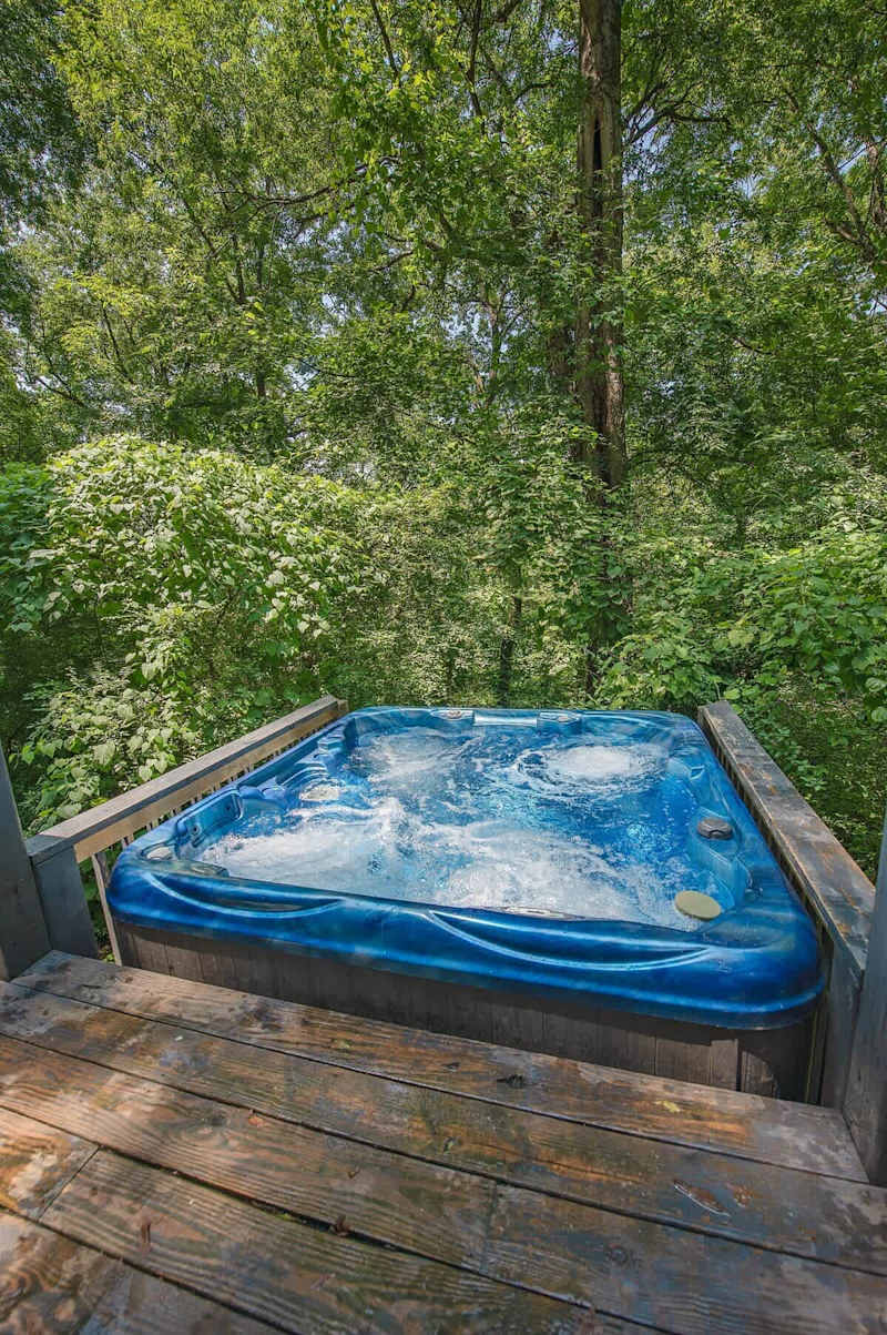 Eden Cabin photo 19