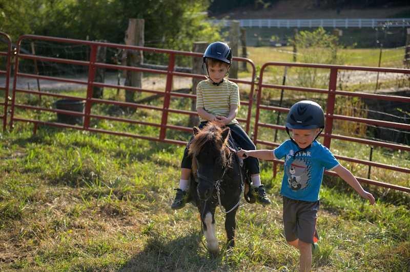 Pony rides for the kiddos