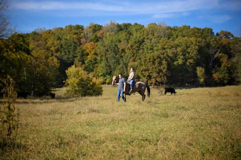 Guide-led horseback rides