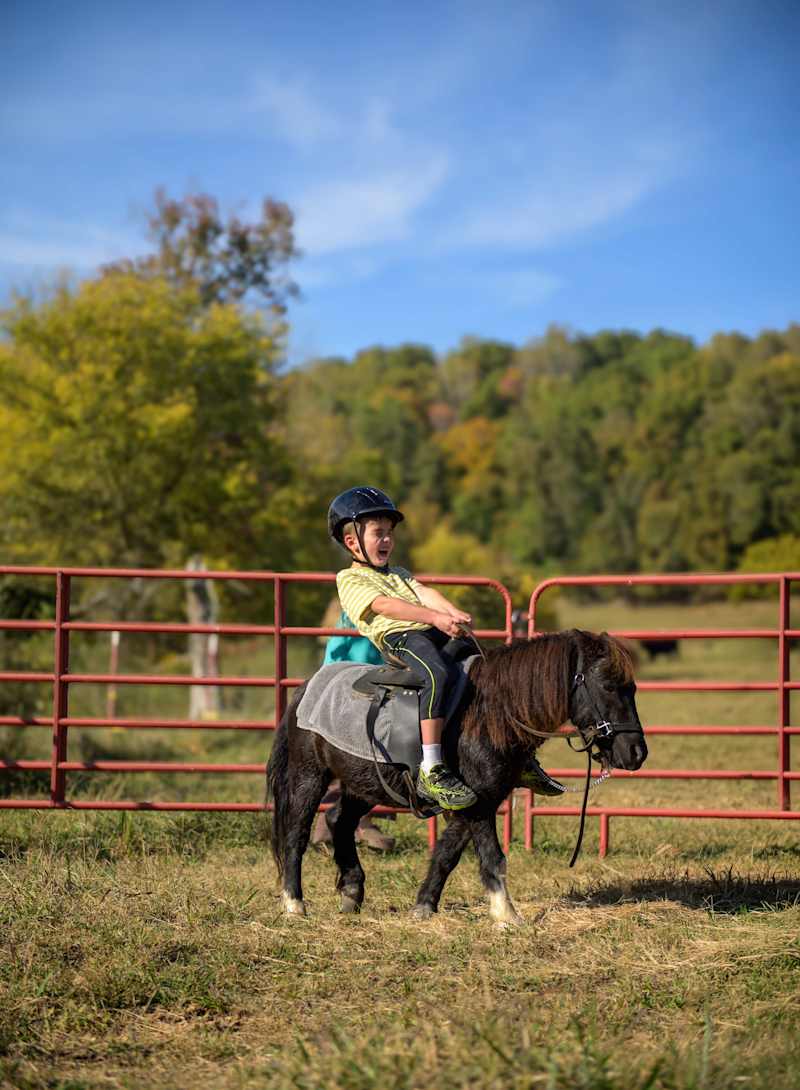 Pony rides for the kiddos