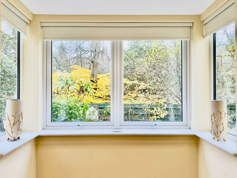 Charming Family Home by Coy Pond w/ Free Parking - Photo 30