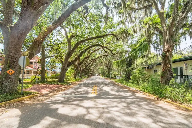 Oak Canopy Escape - St Augustine, Heated Pool — photo 3