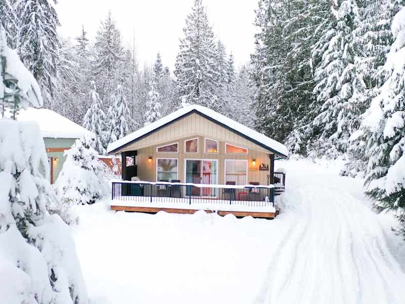 Mountain Cabin in the Snow!