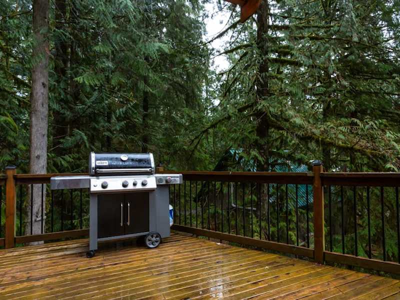 New Weber Gas BBQ