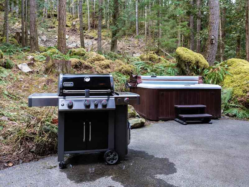 New WEBER Propane BBQ Grill