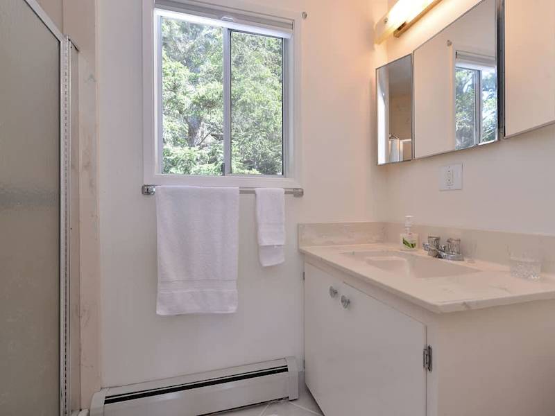 Master en suite washroom with walk-in shower.