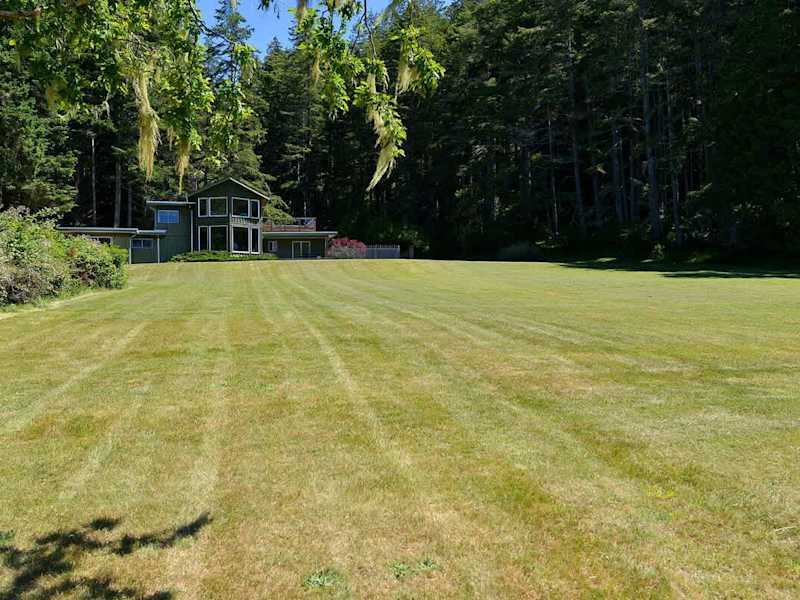 Large lawn which cascades down to the water.
