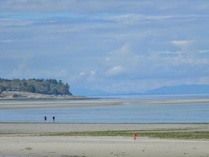 Kye Bay sandy beach at your back door. 