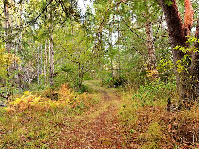 This trail system is located in the backyard of the house and leads to the Galloping Goose Trail. 