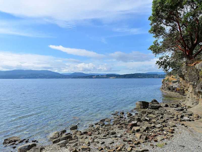 Beach below the lodge. 