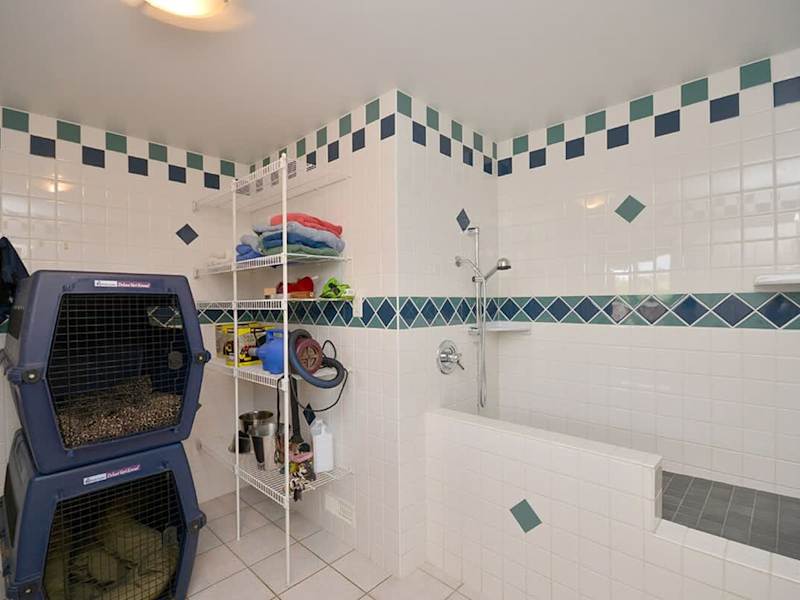 Fully tiled pet grooming room complete with a raised tub.