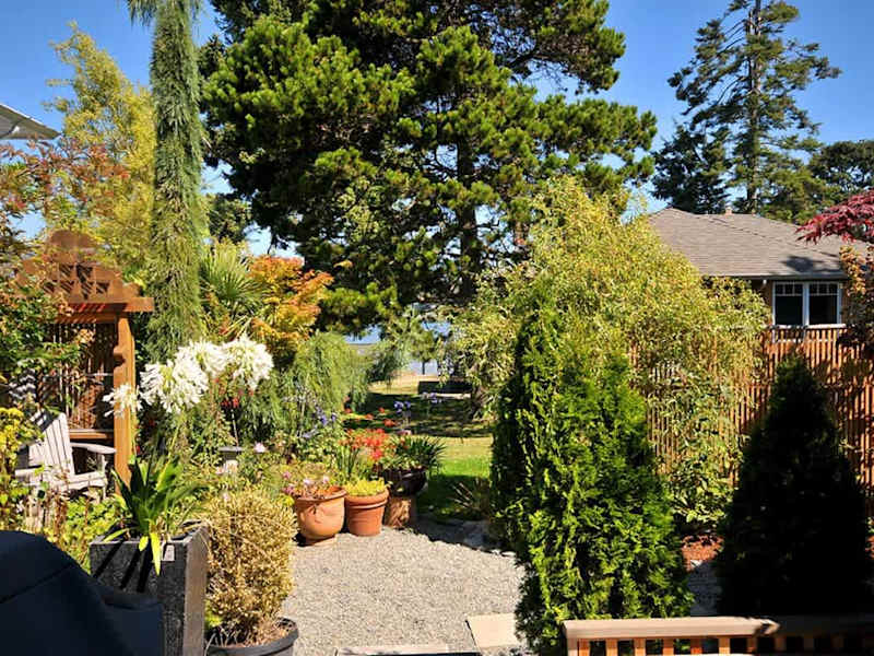 Heron View Cottage garden.