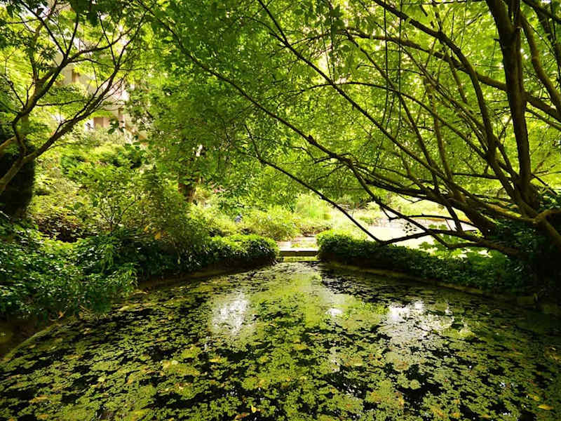 Miraloma gardens