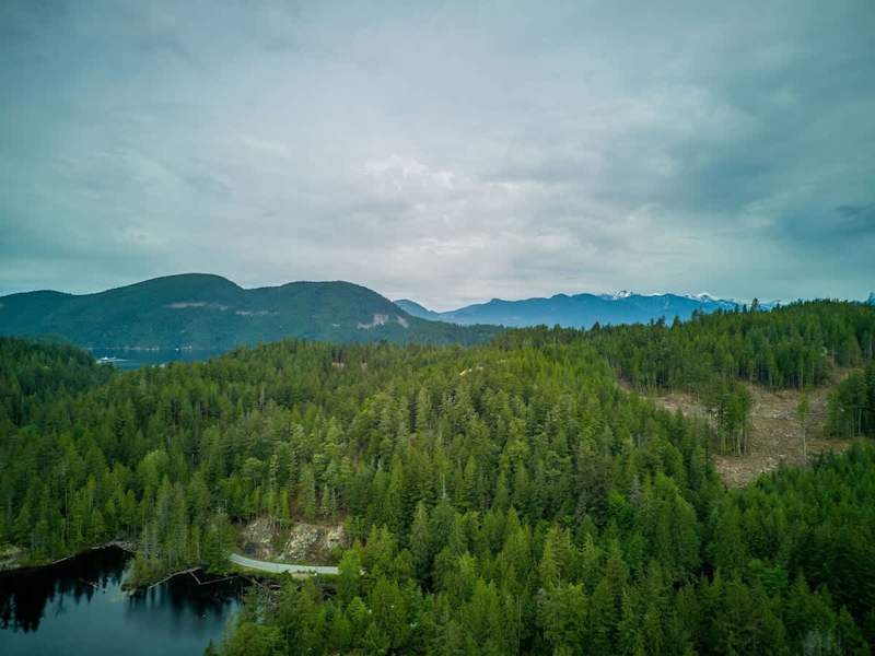 Drone views from North Lake. 