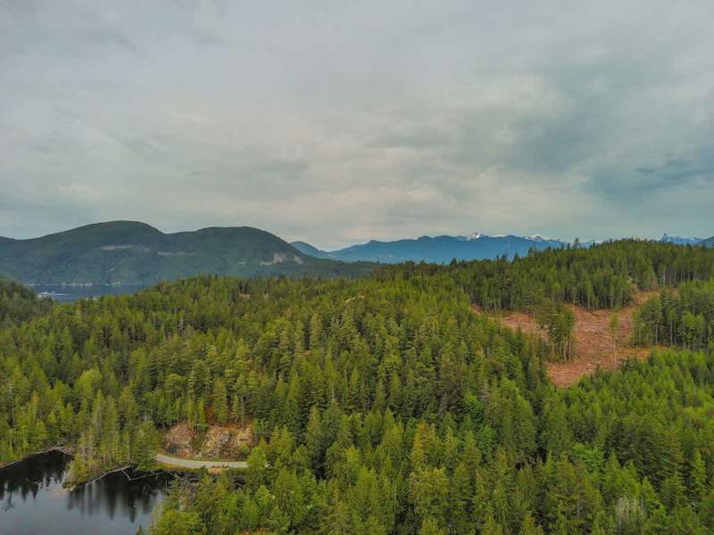 Drone view from North Lake. 