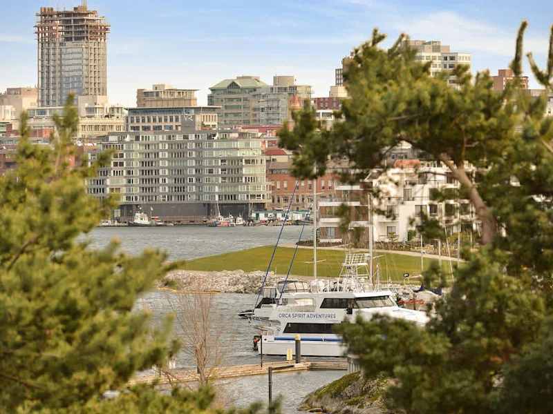 Inner Harbour balcony views. 